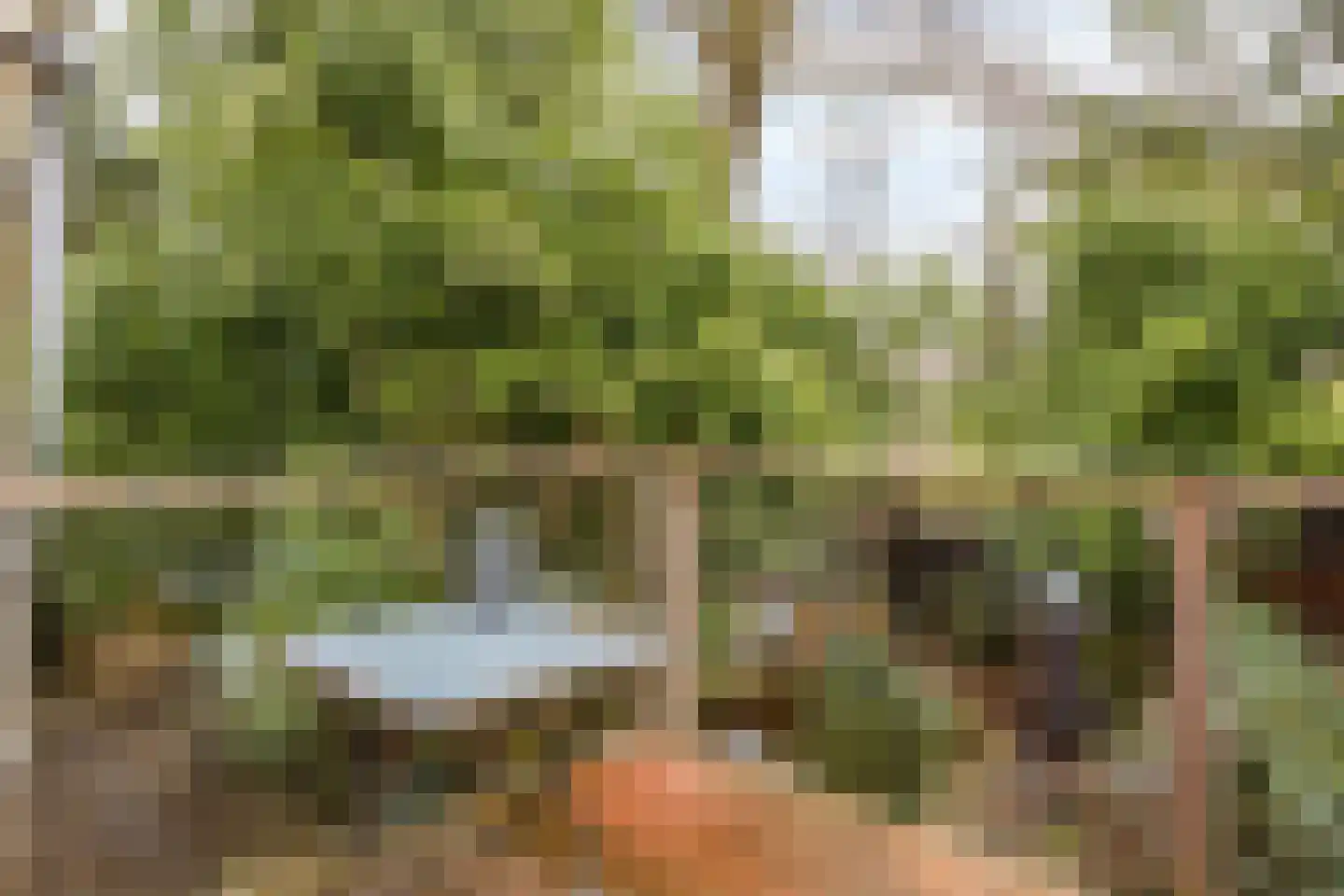 Hordijk 3 Rotterdam thumbnail 20