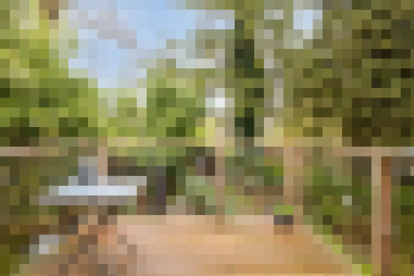 Hordijk 3 Rotterdam thumbnail 20