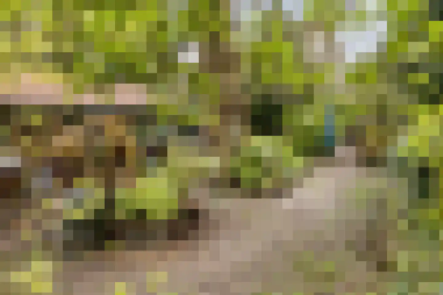 Hordijk 3 Rotterdam thumbnail 4