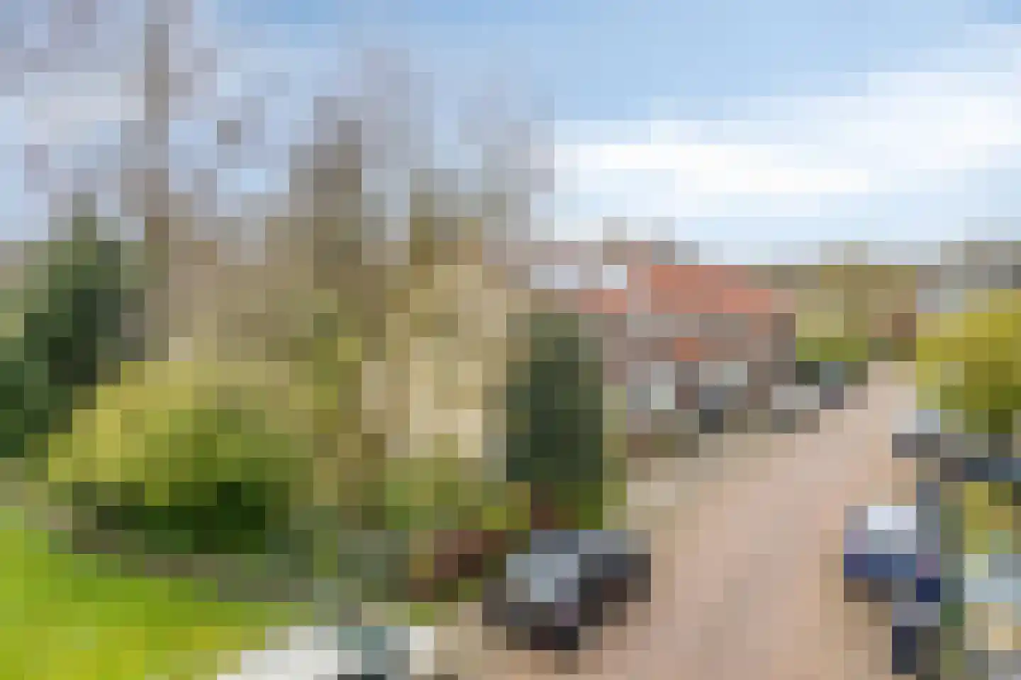 Hordijk 3 Rotterdam thumbnail 5