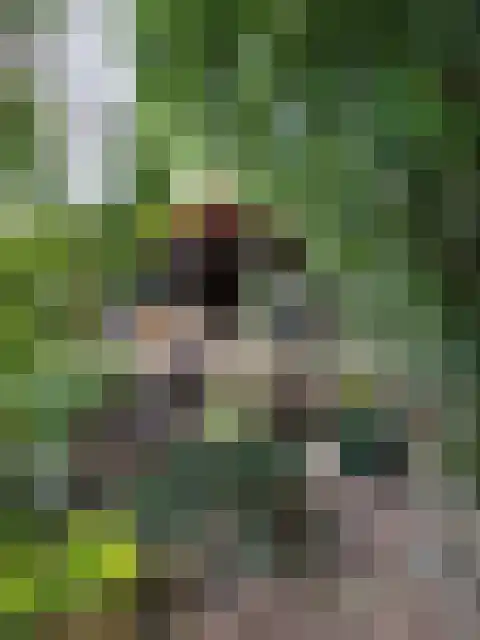 Hordijk 3 Rotterdam thumbnail 52