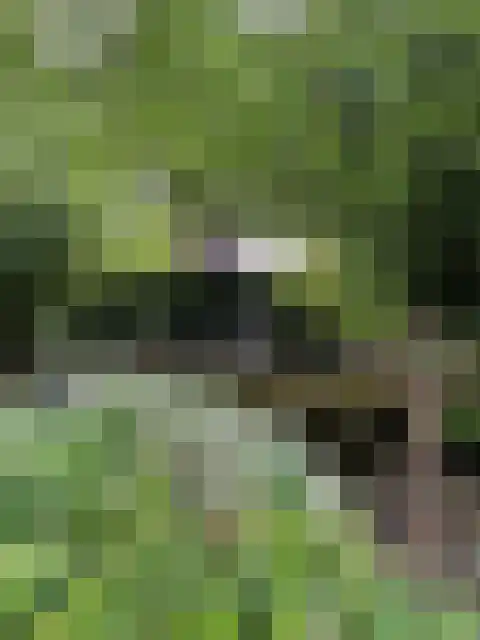 Hordijk 3 Rotterdam thumbnail 62