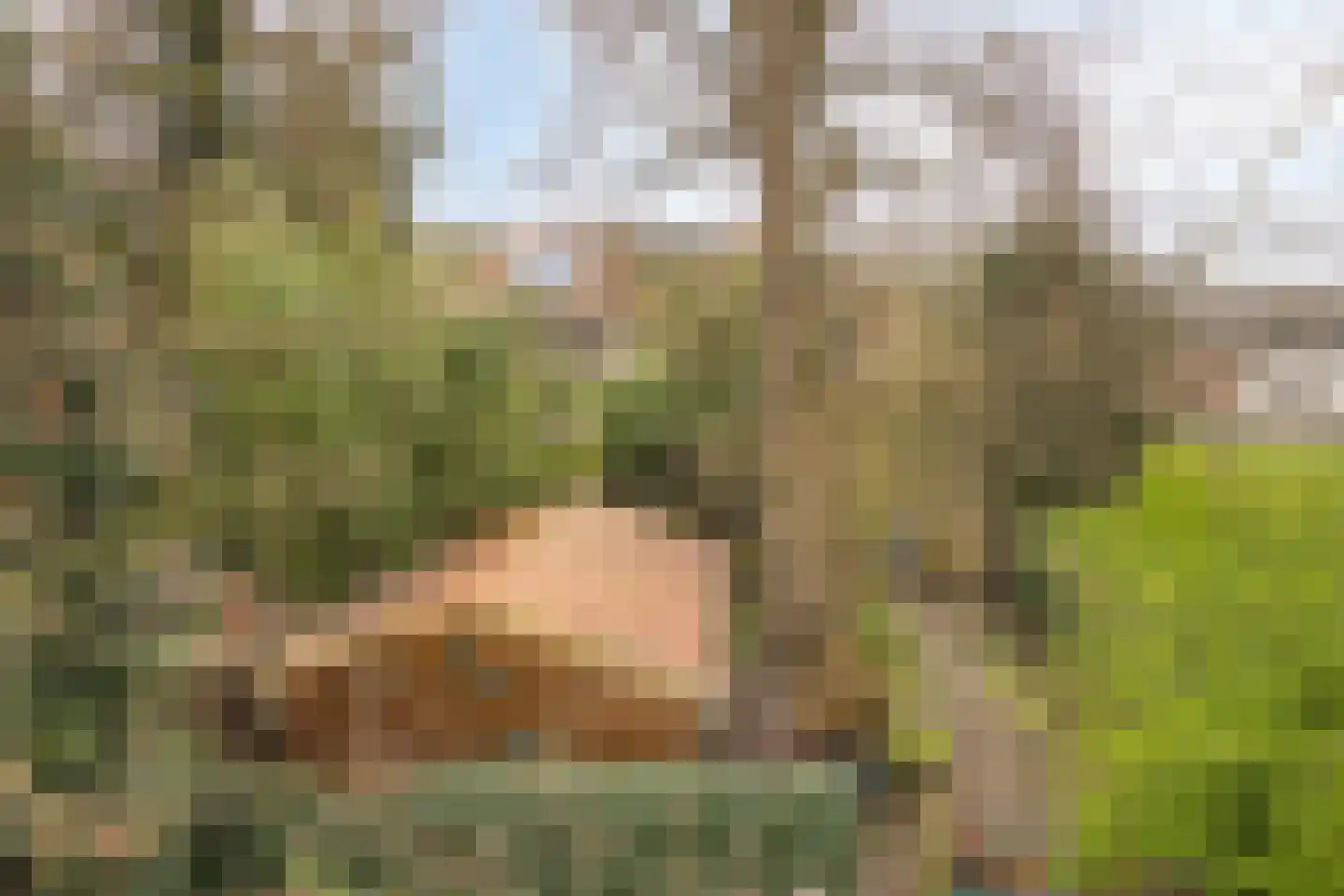 Hordijk 3 Rotterdam thumbnail 64