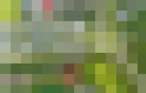 Hordijk 3 Rotterdam thumbnail 72