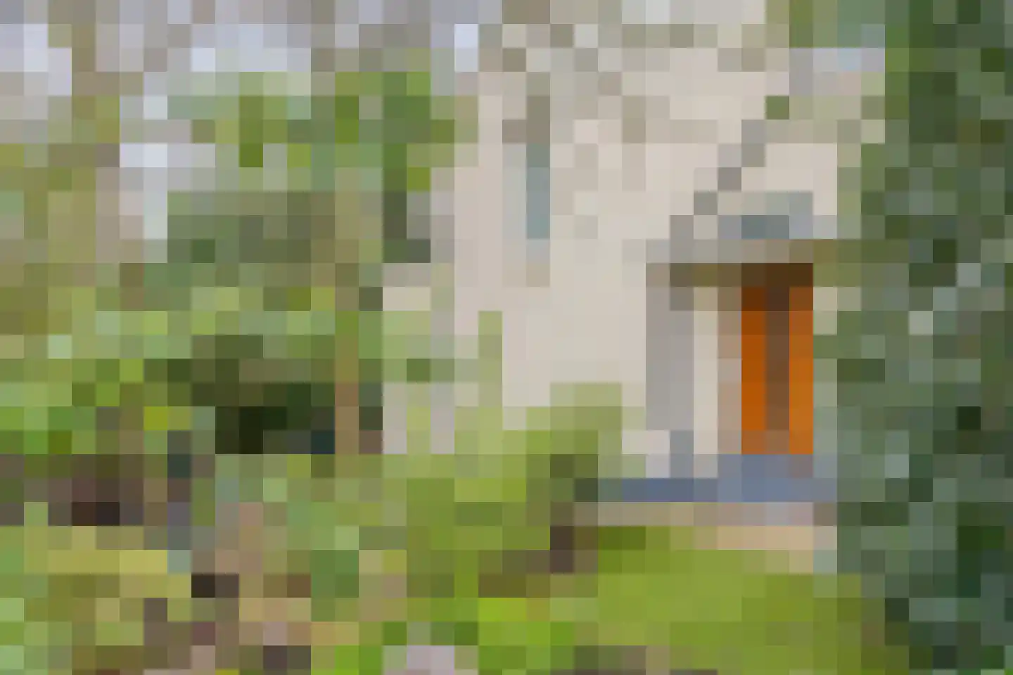 Hordijk 3 Rotterdam thumbnail 8
