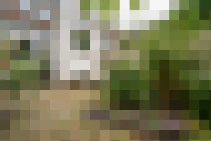 Hordijk 52 Rotterdam thumbnail 31