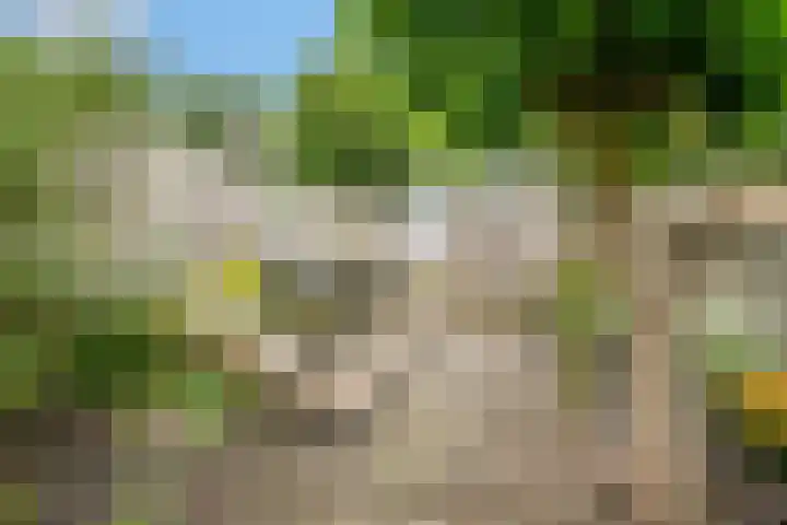Hordijk 52 Rotterdam thumbnail 33