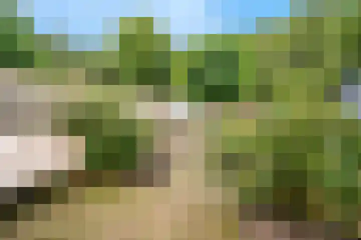 Hordijk 52 Rotterdam thumbnail 5