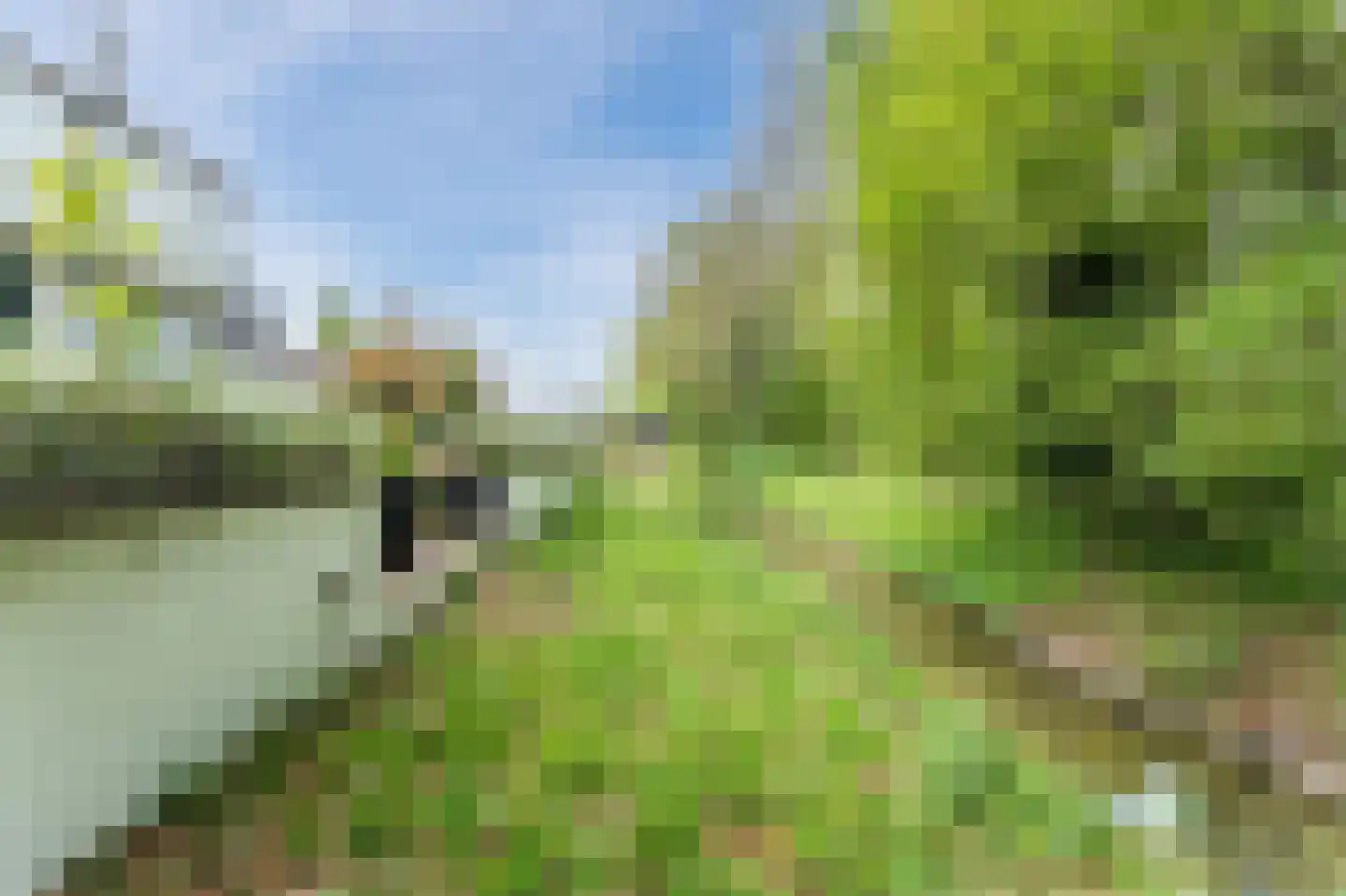 Hordijk 56 Rotterdam thumbnail 47