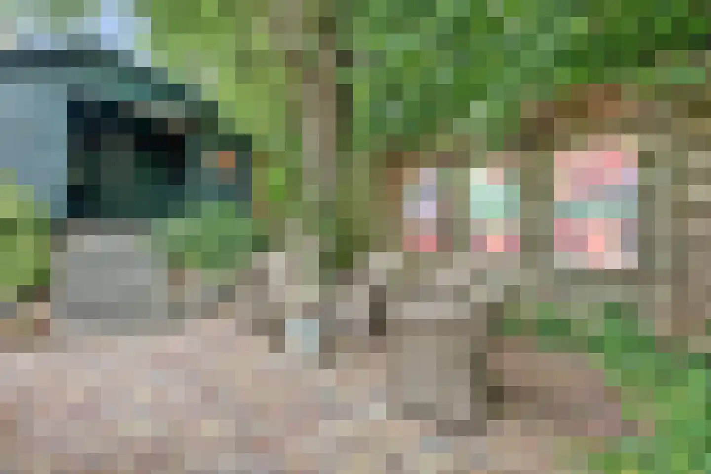 Hordijk 61 Rotterdam thumbnail 34