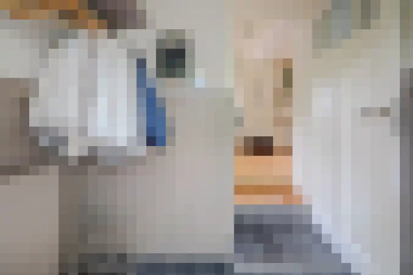 Hordijk 61 Rotterdam thumbnail 6