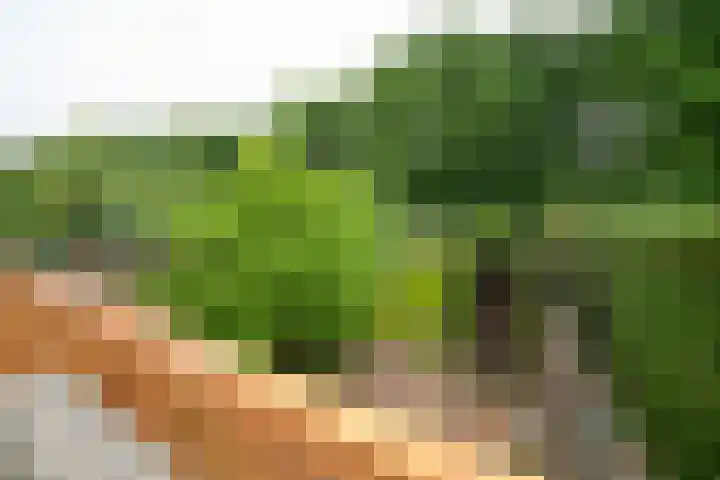 Hordijk 66 Rotterdam thumbnail 19