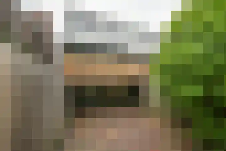 Hordijk 66 Rotterdam thumbnail 34