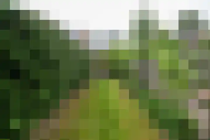 Hordijk 66 Rotterdam thumbnail 5