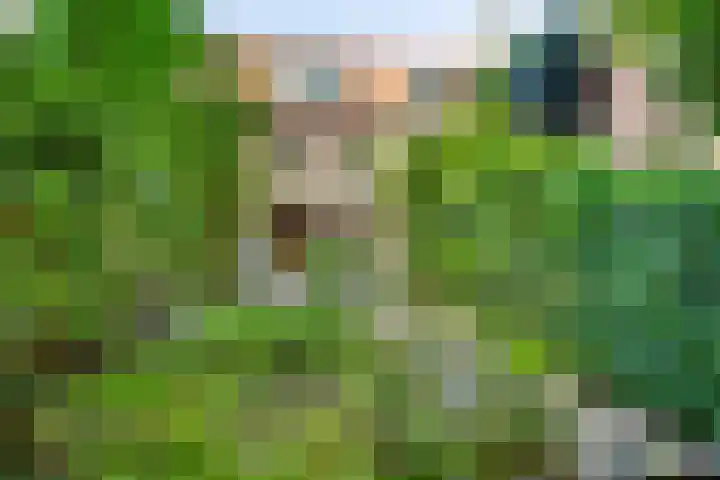 Hordijk 67 Rotterdam thumbnail 34