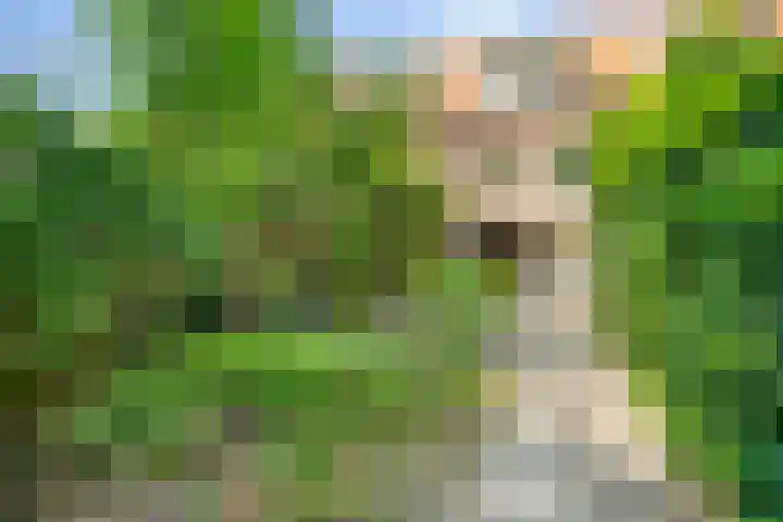 Hordijk 67 Rotterdam thumbnail 5