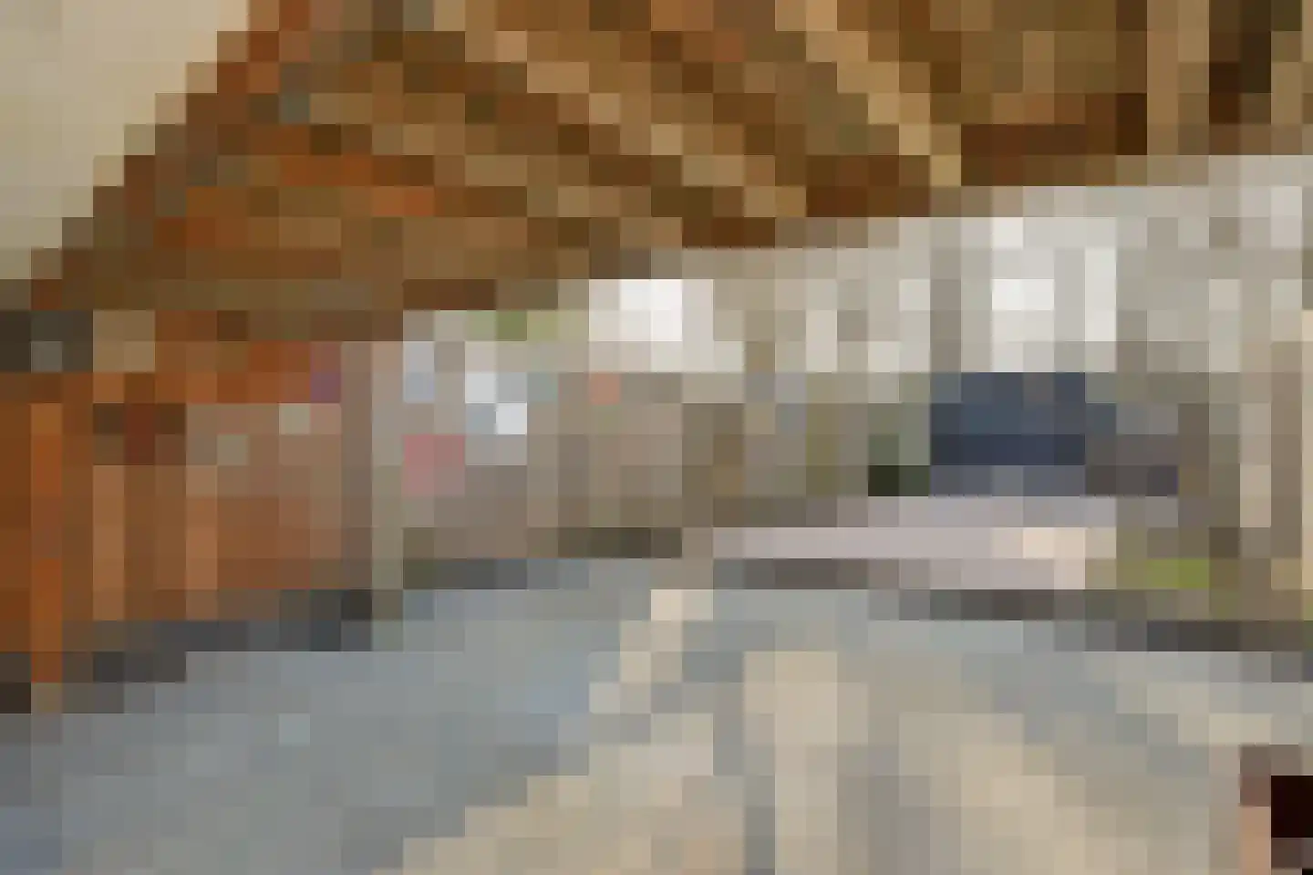 Hordijk 68 Rotterdam thumbnail 33