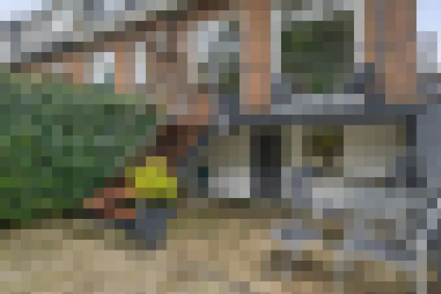 Hordijk 91 Rotterdam thumbnail 15