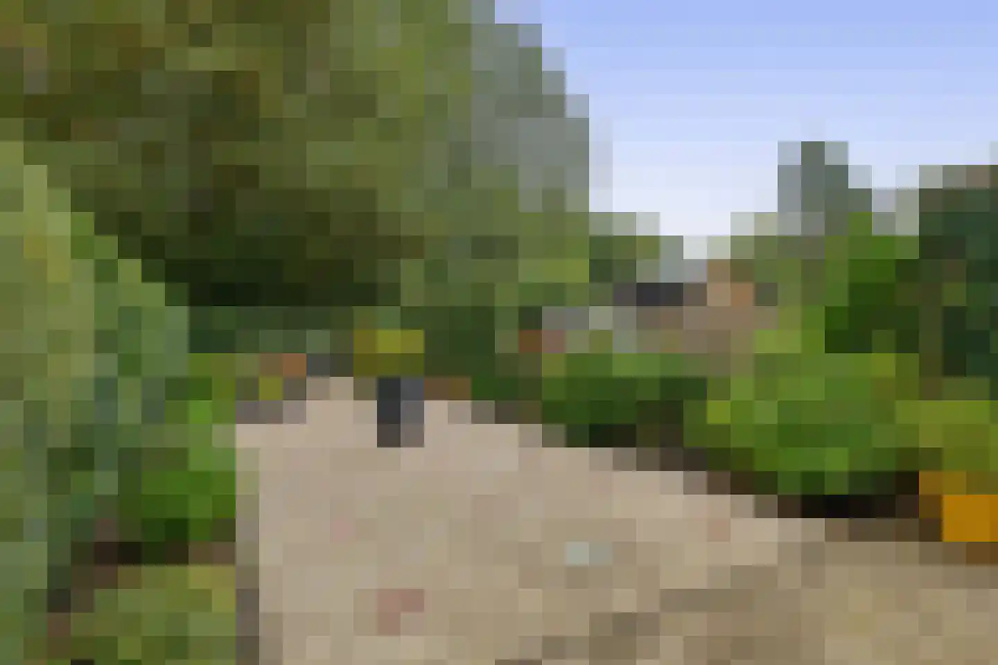Hordijk 91 Rotterdam thumbnail 17