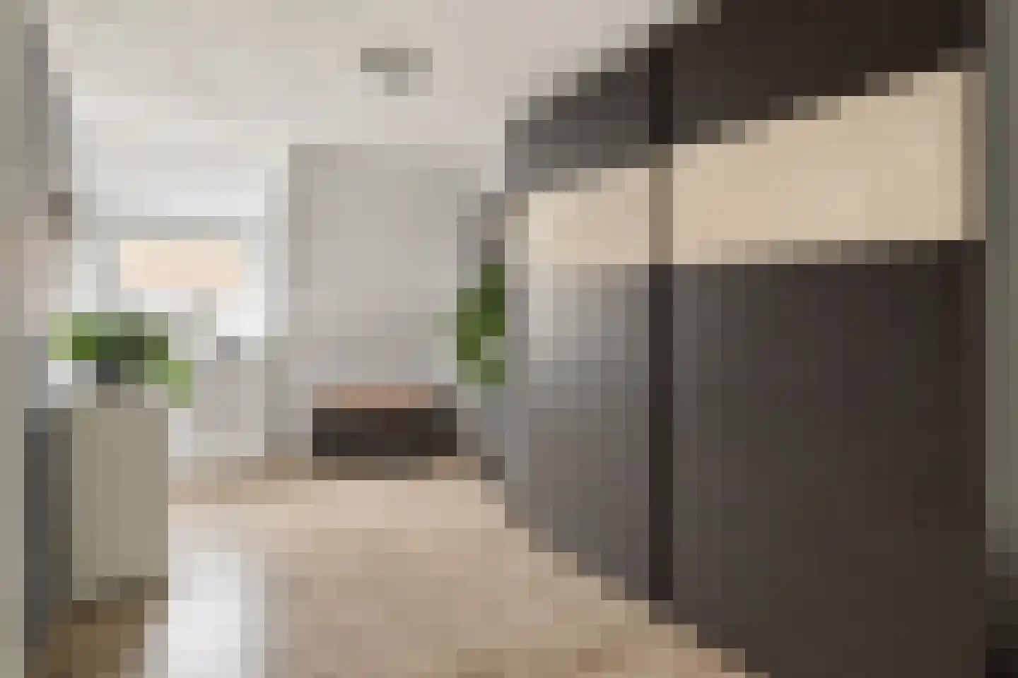 Hordijk 91 Rotterdam thumbnail 25