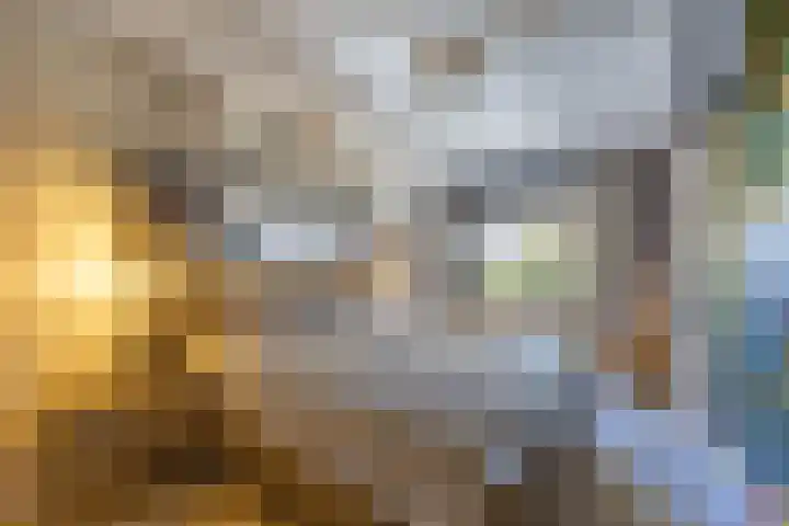Hordijkhof 2 Honselersdijk thumbnail 12
