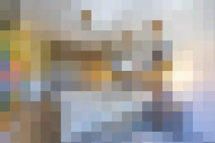 Hordijkhof 2 Honselersdijk thumbnail 13
