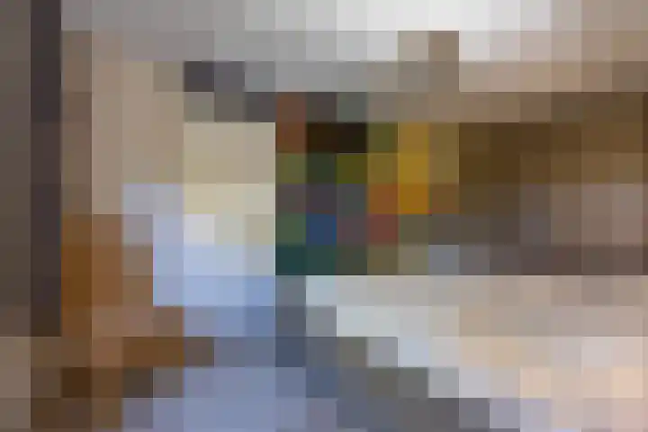 Hordijkhof 2 Honselersdijk thumbnail 14