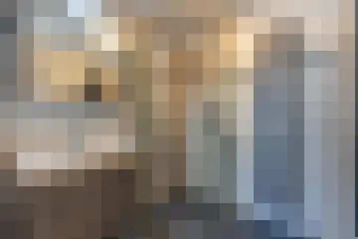Hordijkhof 2 Honselersdijk thumbnail 17