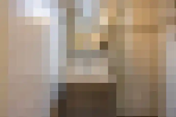 Hordijkhof 2 Honselersdijk thumbnail 18