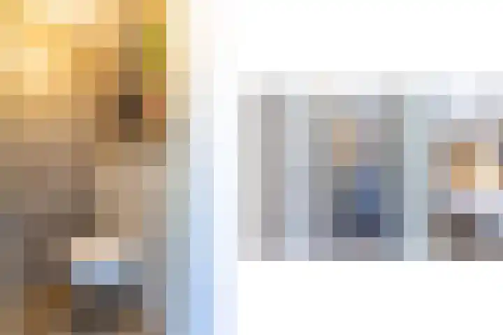 Hordijkhof 2 Honselersdijk thumbnail 21