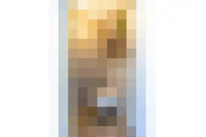 Hordijkhof 2 Honselersdijk thumbnail 22