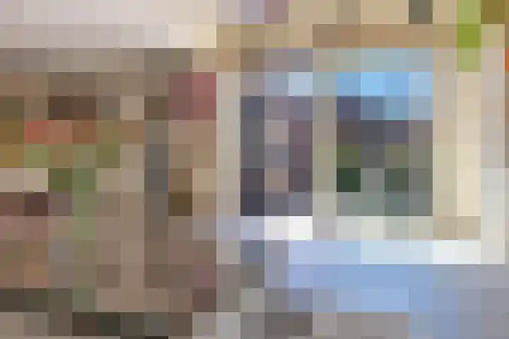Hordijkhof 2 Honselersdijk thumbnail 23