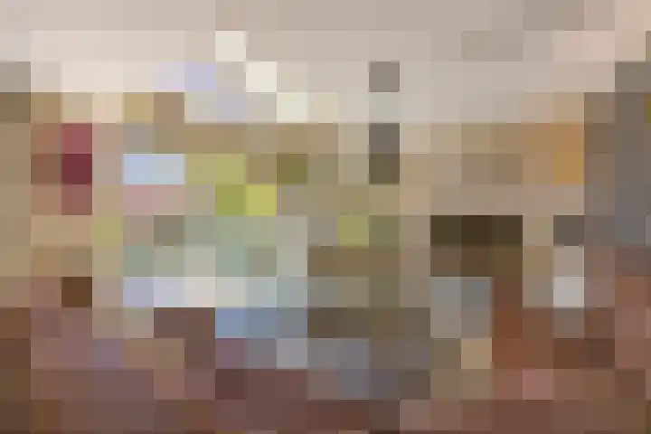 Hordijkhof 2 Honselersdijk thumbnail 24