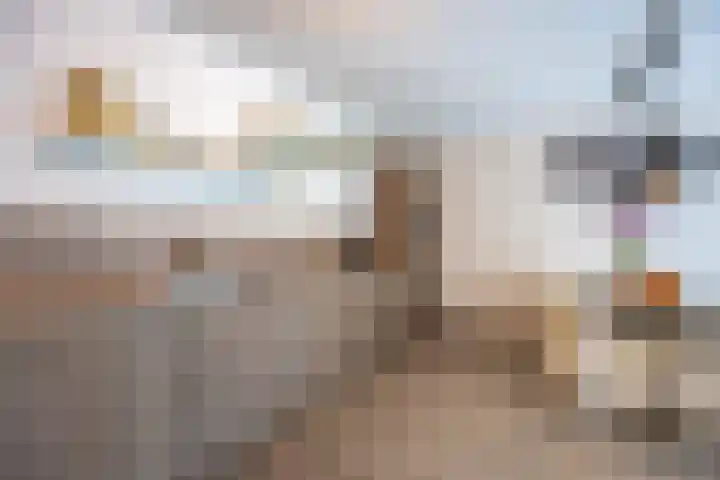 Hordijkhof 2 Honselersdijk thumbnail 25