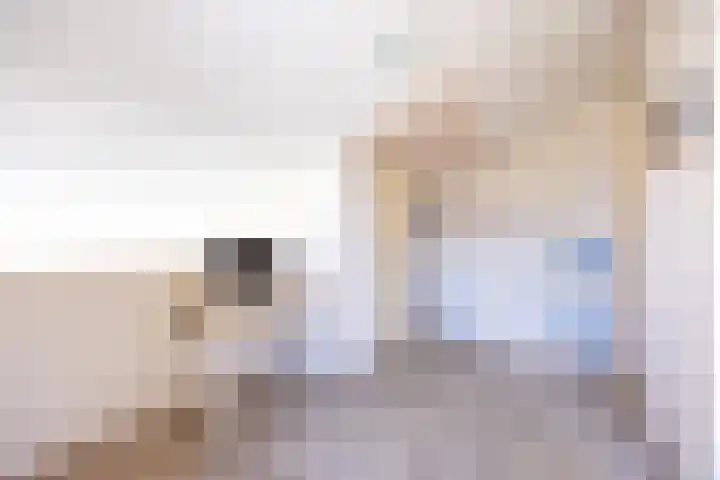 Hordijkhof 2 Honselersdijk thumbnail 27