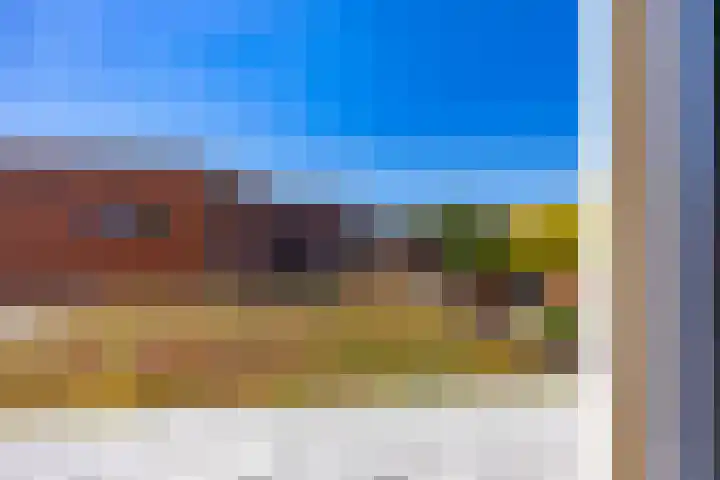 Hordijkhof 2 Honselersdijk thumbnail 29