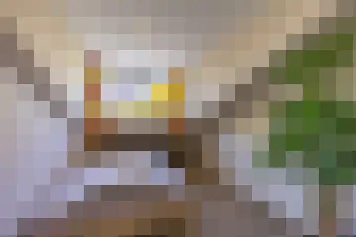 Hordijkhof 2 Honselersdijk thumbnail 30