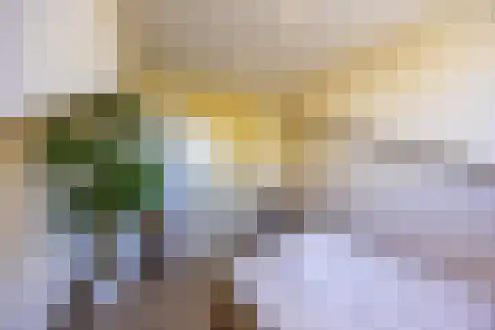 Hordijkhof 2 Honselersdijk thumbnail 31