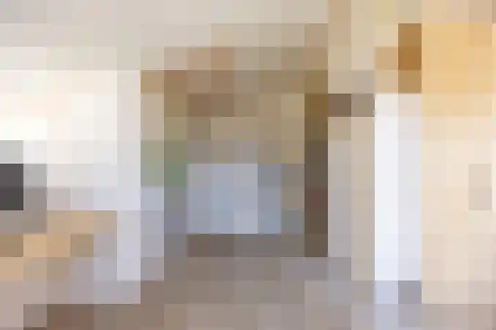Hordijkhof 2 Honselersdijk thumbnail 32