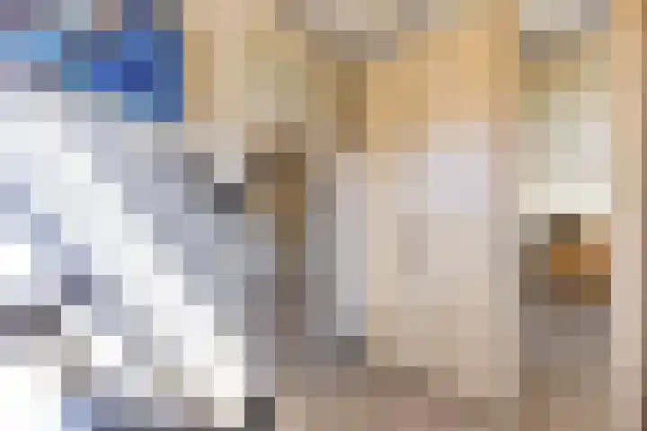 Hordijkhof 2 Honselersdijk thumbnail 33