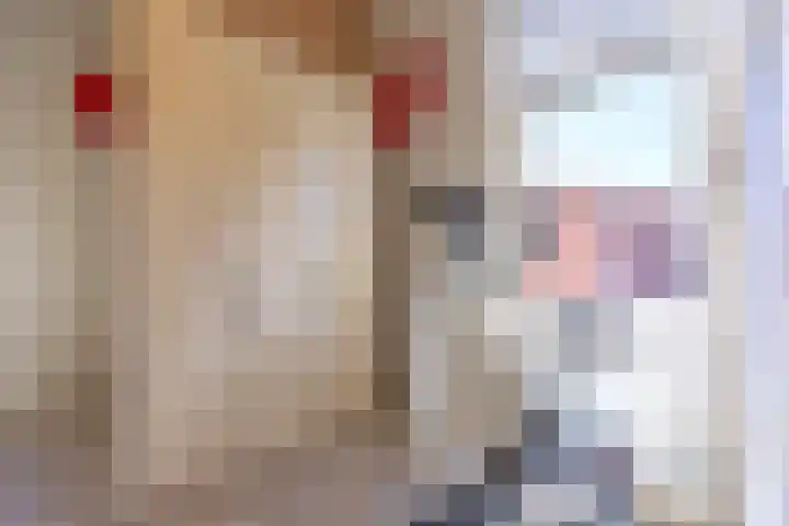 Hordijkhof 2 Honselersdijk thumbnail 34