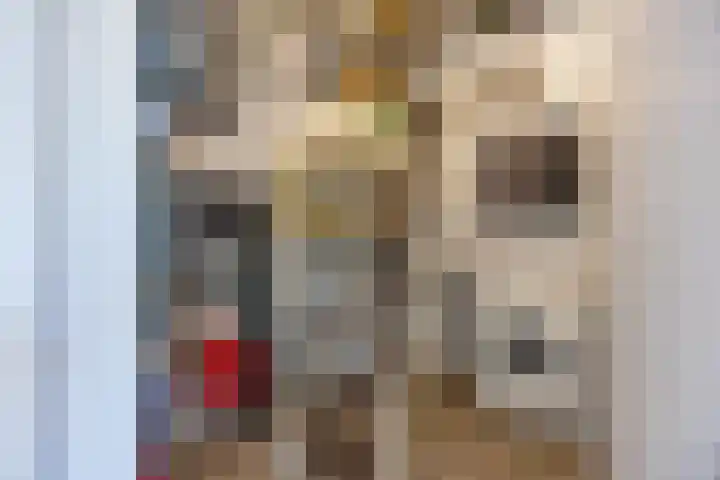 Hordijkhof 2 Honselersdijk thumbnail 35