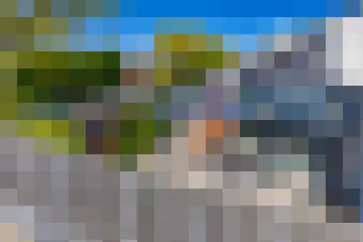 Hordijkhof 2 Honselersdijk thumbnail 36