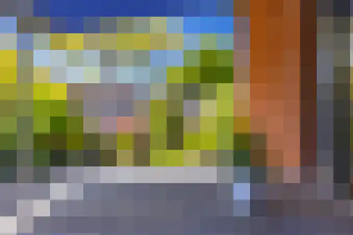 Hordijkhof 2 Honselersdijk thumbnail 37