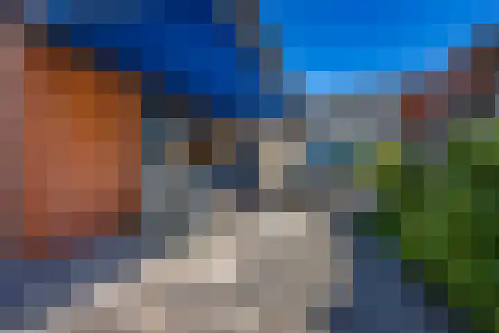Hordijkhof 2 Honselersdijk thumbnail 39