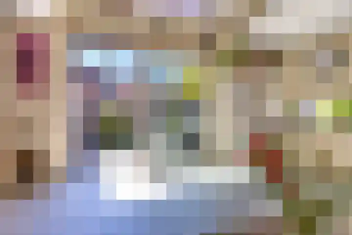 Hordijkhof 2 Honselersdijk thumbnail 4