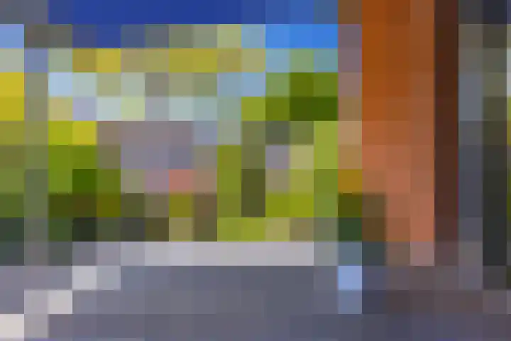Hordijkhof 2 Honselersdijk thumbnail 41