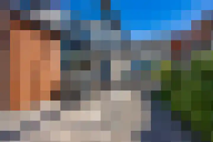 Hordijkhof 2 Honselersdijk thumbnail 42