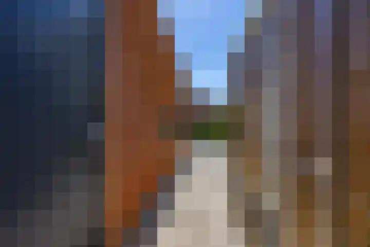 Hordijkhof 2 Honselersdijk thumbnail 44