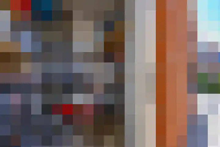 Hordijkhof 2 Honselersdijk thumbnail 45